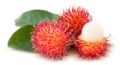 Rambutan